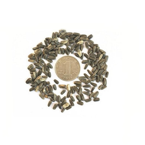 Sunflower Seed